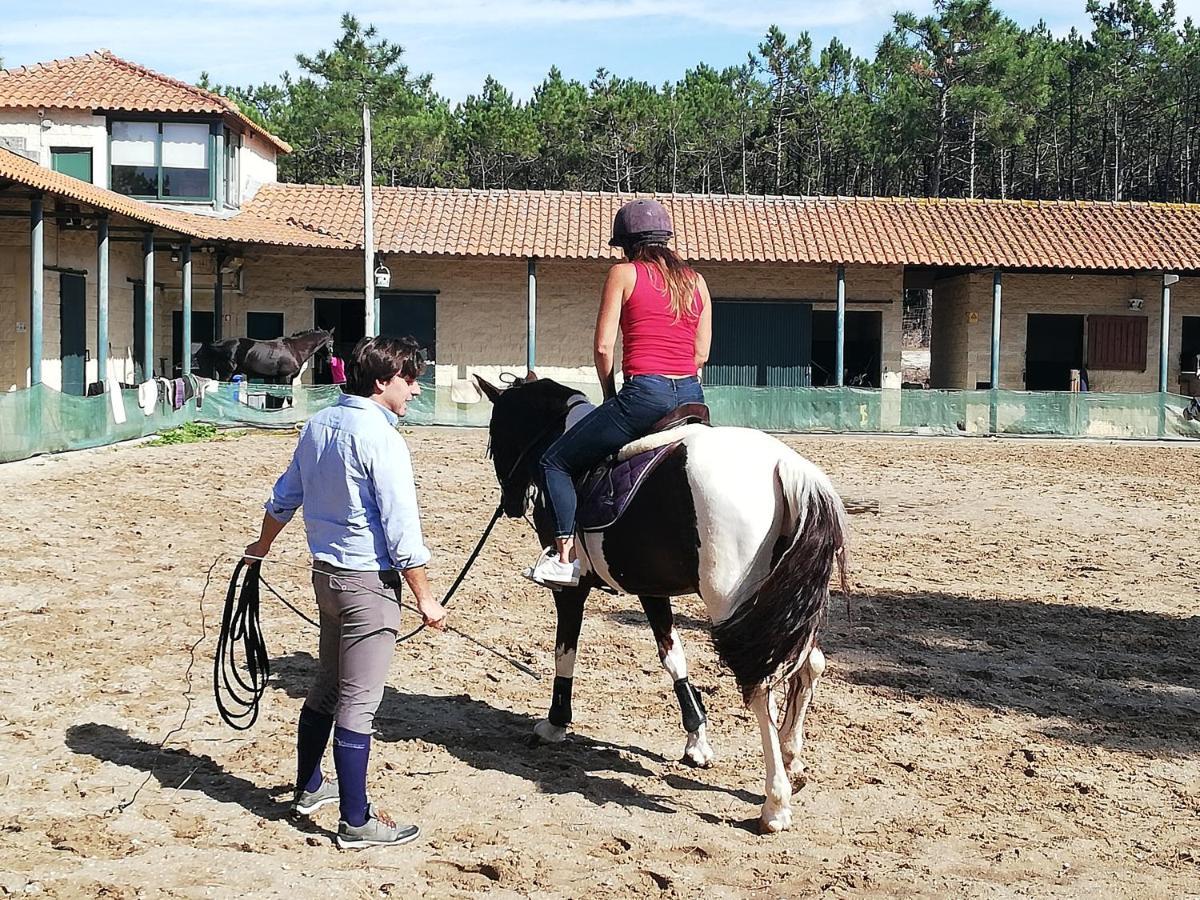 Casa De Ferias Aveiro Com Piscina Kültér fotó